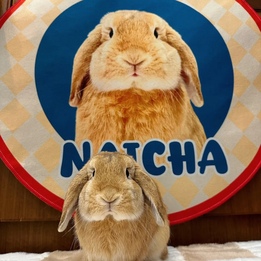 Tapis personnalisé pour animaux de compagnie avec portrait de lapin