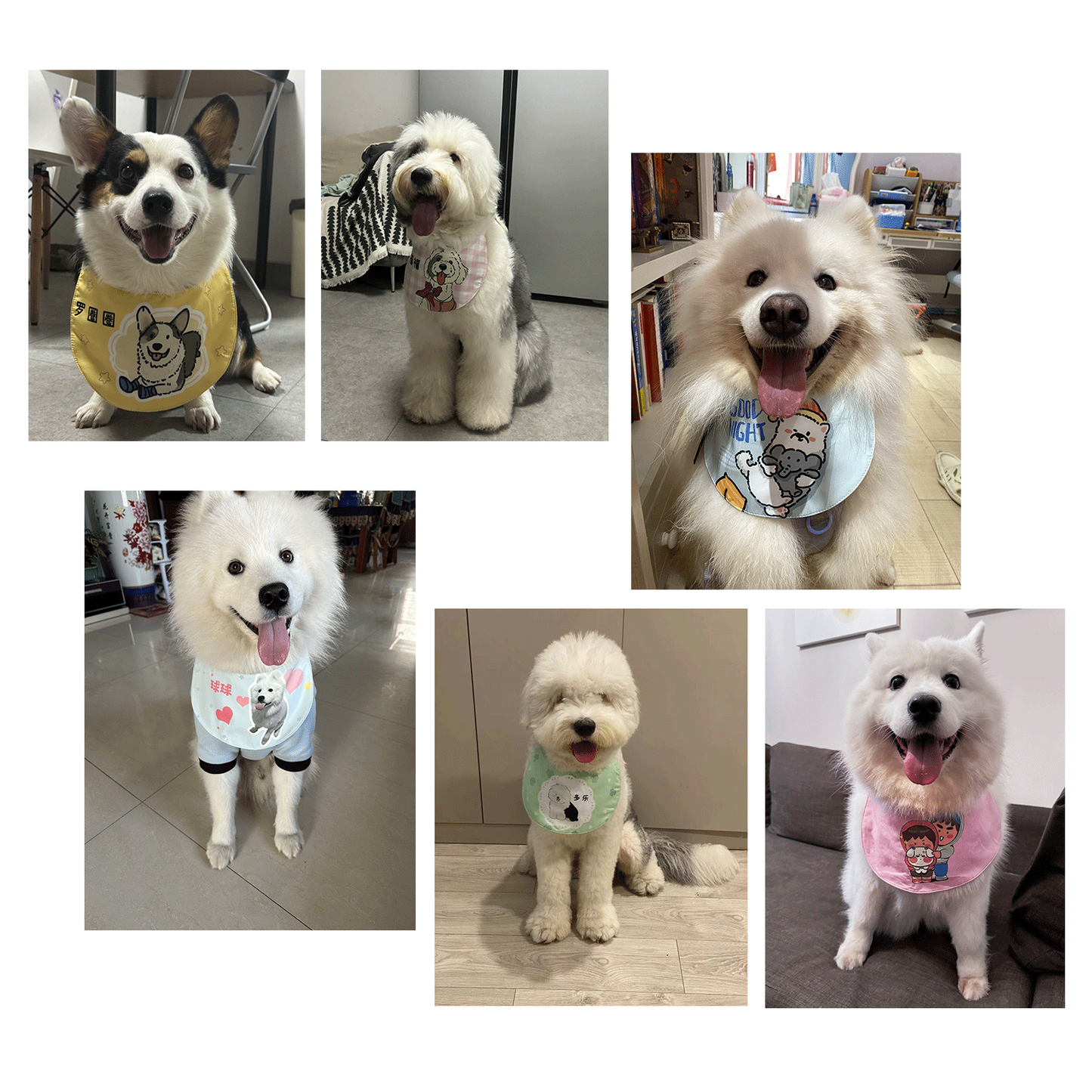 Cute Pet Bib Three-layer Waterproof Scarf