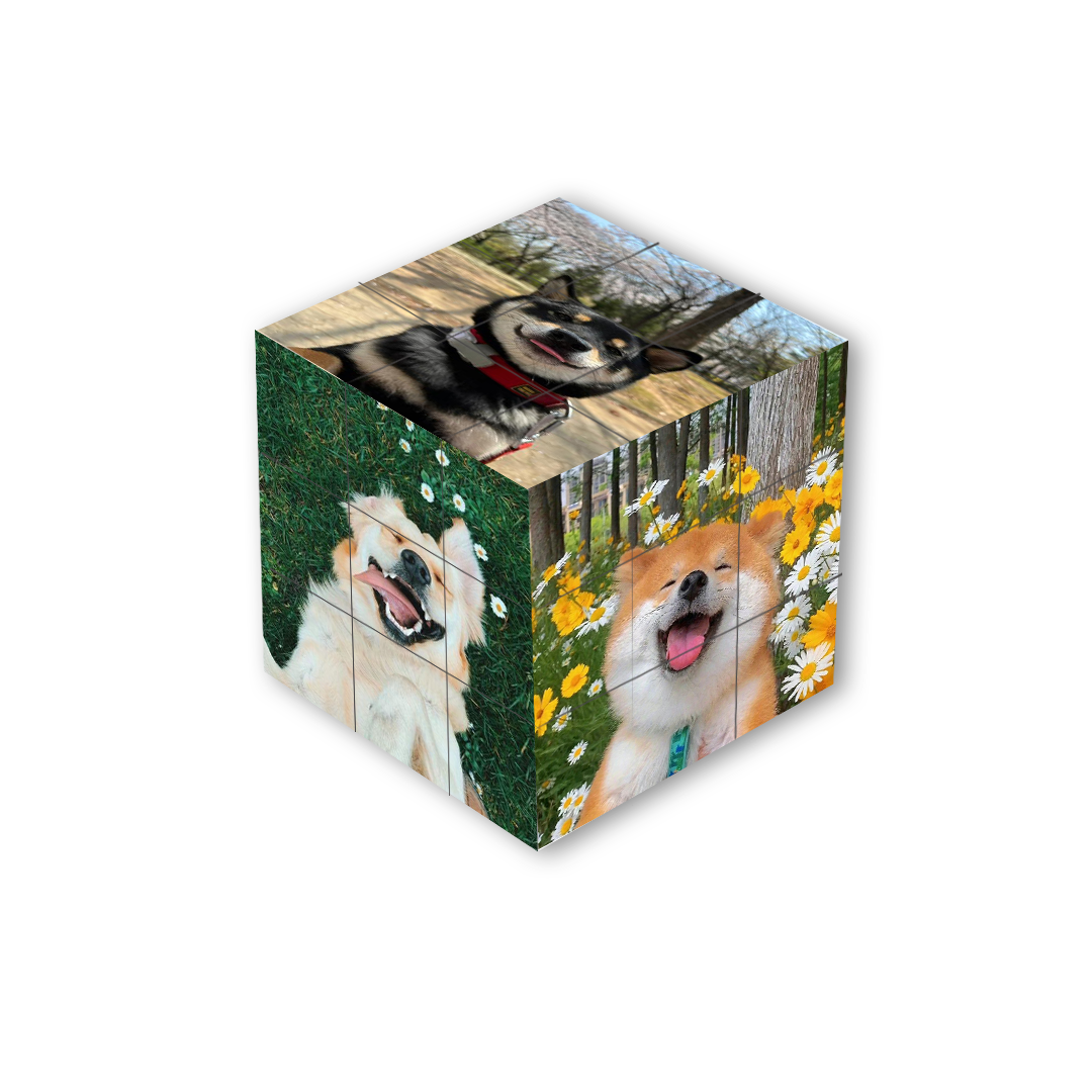 Custom Pet Photo Rubik’s Cubes