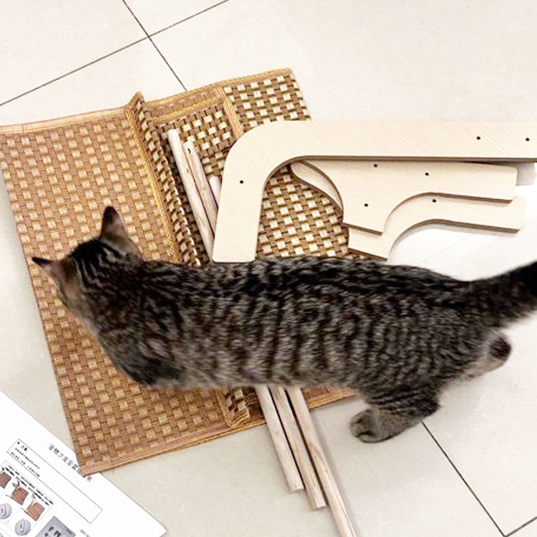  Let the cat watch you assemble rattan loungers.