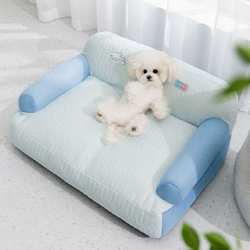 6 Essential Summer Care Tips for Dogs