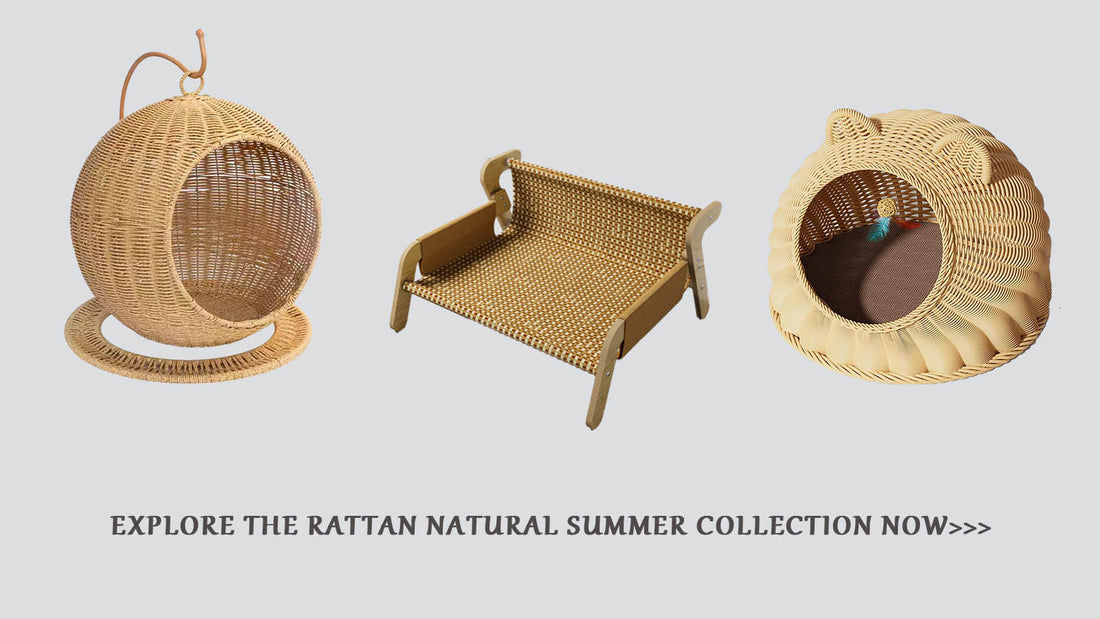 Woven Whimsy: How Rattan Pet Furniture Adds Style and Soul to Your Home
