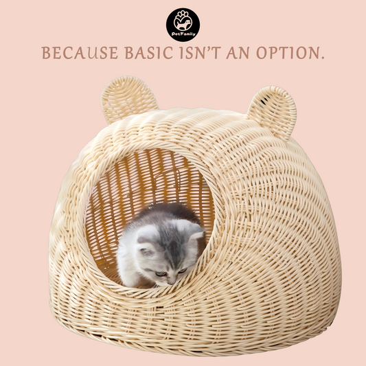 Why Cats Love Enclosed Beds (And What the Cat Head Shape Really Does for Them)