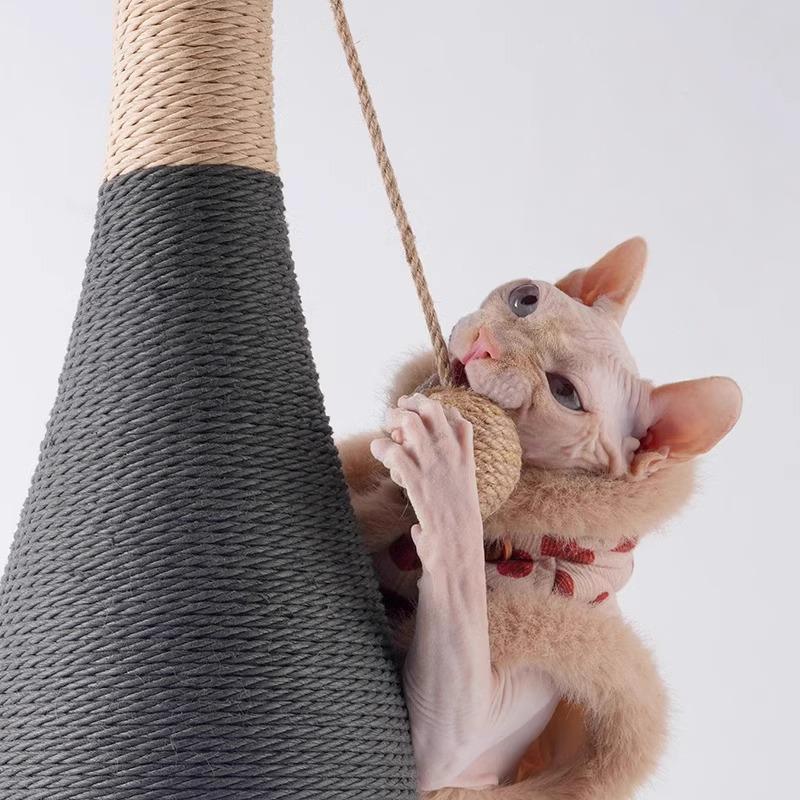 Pet Toy