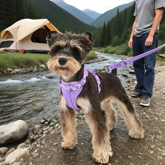 Waterproof PVC 4 - Piece Pet Harness for All Dogs