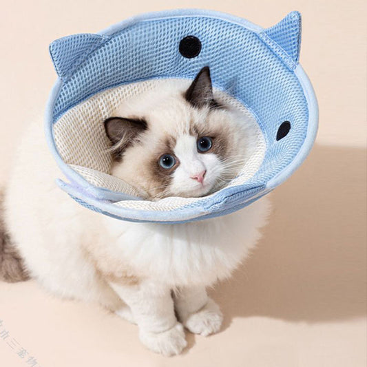Nature Forme – Dolphin Cone Pet Recovery Collar for Cats & Small Dogs