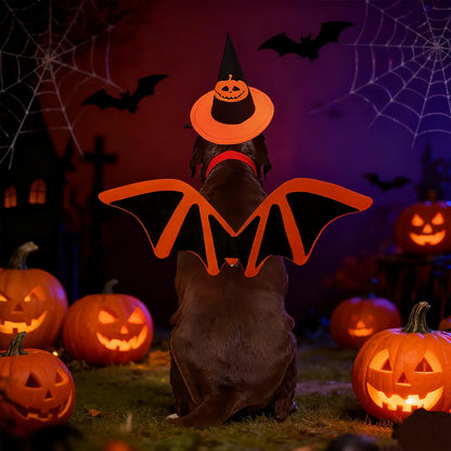 Halloween Funny Pet Bat Wings Costume