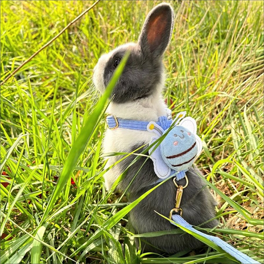 Little Bee Small Pet Harness Leash Bundle