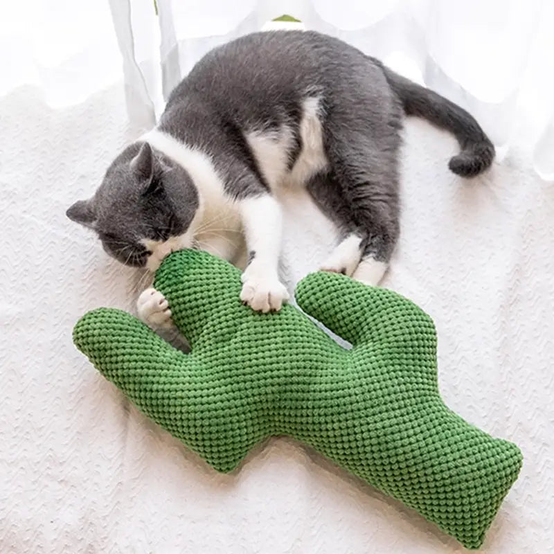 Nature Forme-Cactus Pillow Toy
