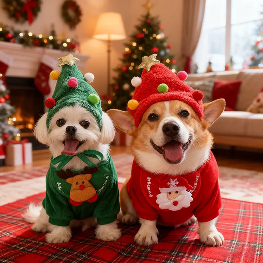 Pawsmas Christmas Pet Hat & Bandana Set