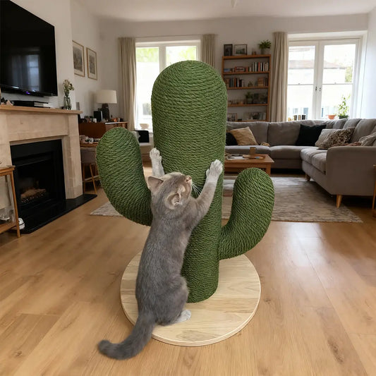 Nature Forme – Cute Cactus Sisal Cat Scratcher Post