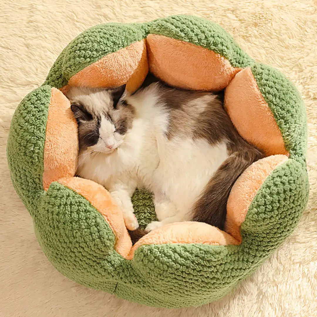 Nature Forme – Cactus Petal Pet Bed