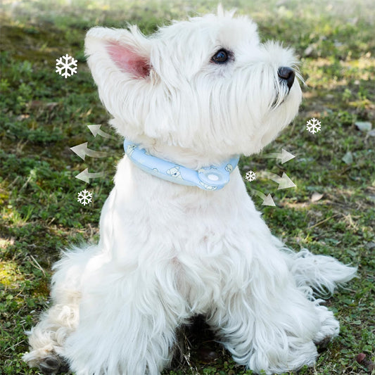 Dog Cooling Collar Cool Ring Cooling Pet Neck Band for Hot Temperatures