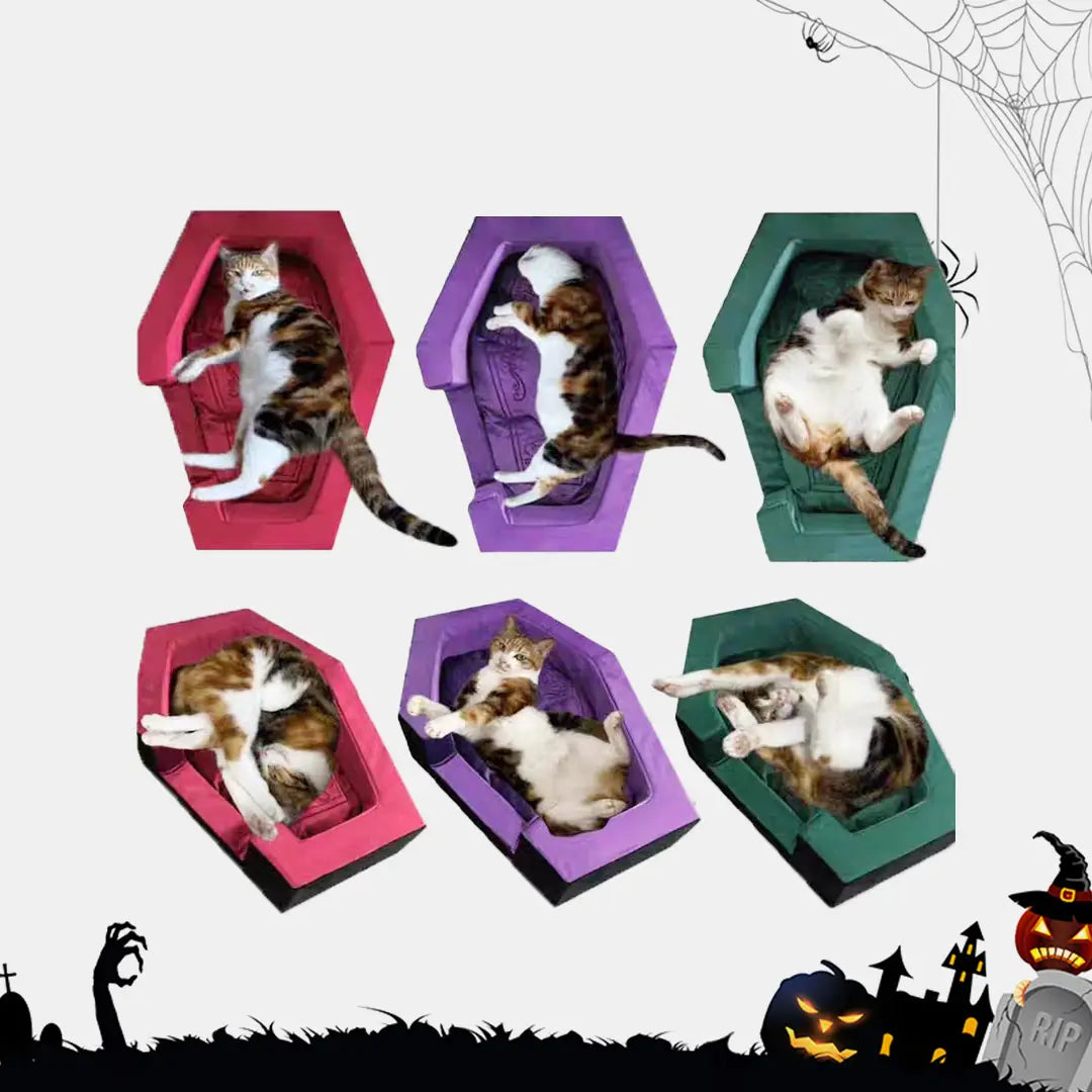 Halloween Dracula's Coffin Pet Bed