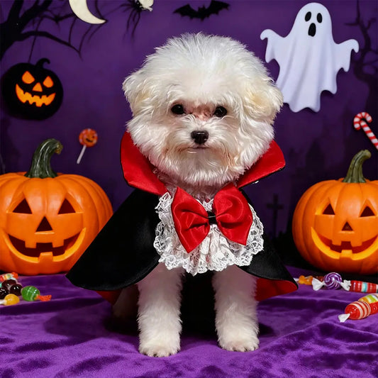 Halloween Elegant Lace & Bow Tie Vampire Cloak for Pets