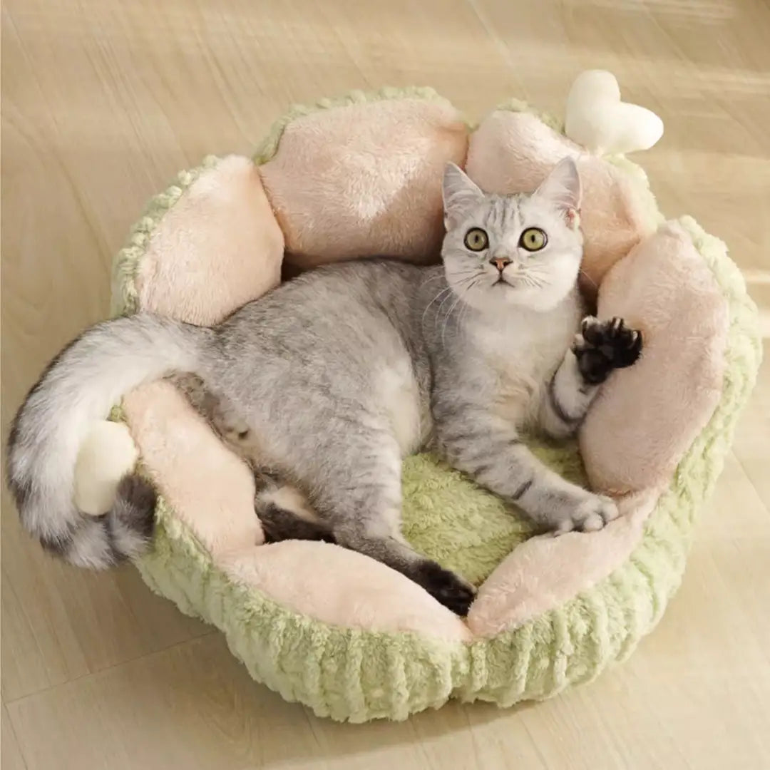 Nature Forme – Cactus Petal Pet Bed