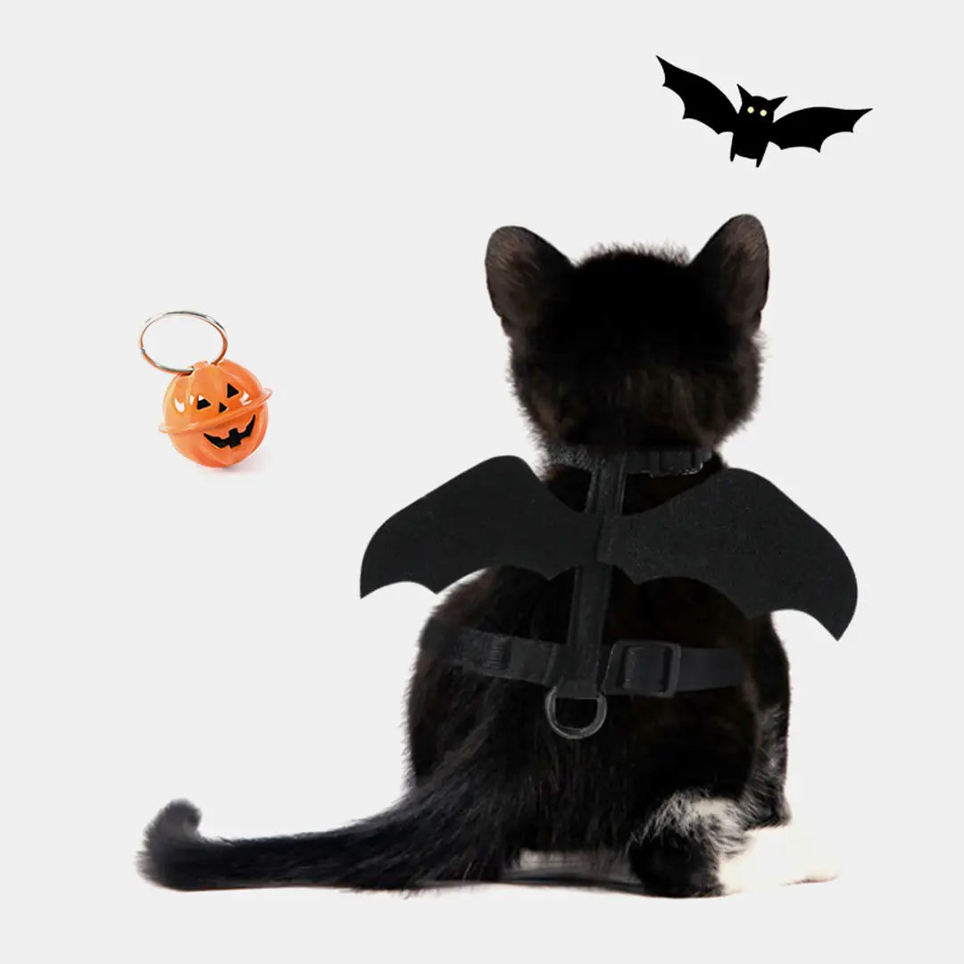 Halloween Bat Harness & Leash