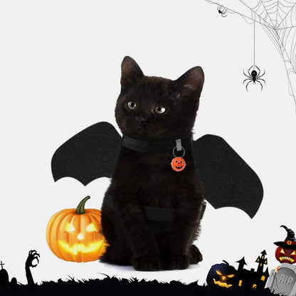 Halloween Bat Harness & Leash