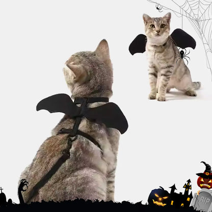 Halloween Bat Harness & Leash