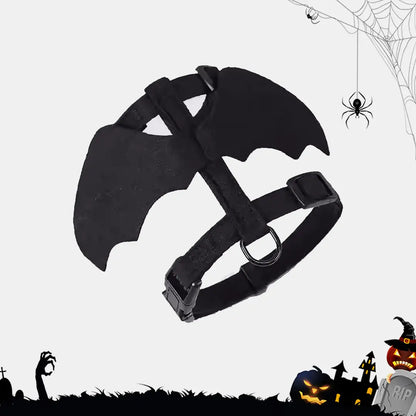 Halloween Bat Harness & Leash