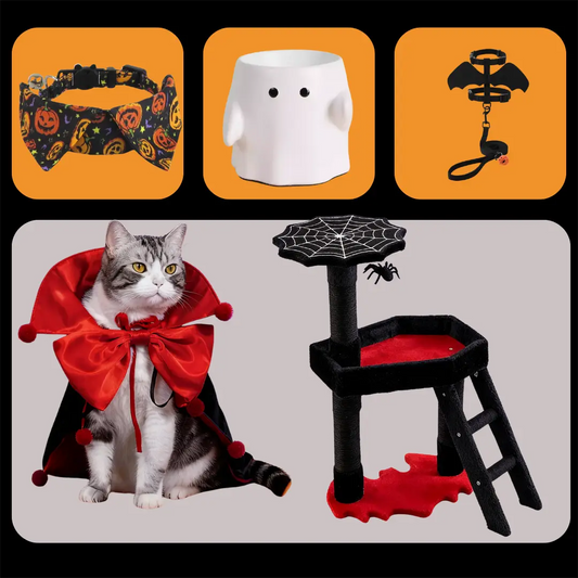 Deluxe Halloween Pet Celebration Set