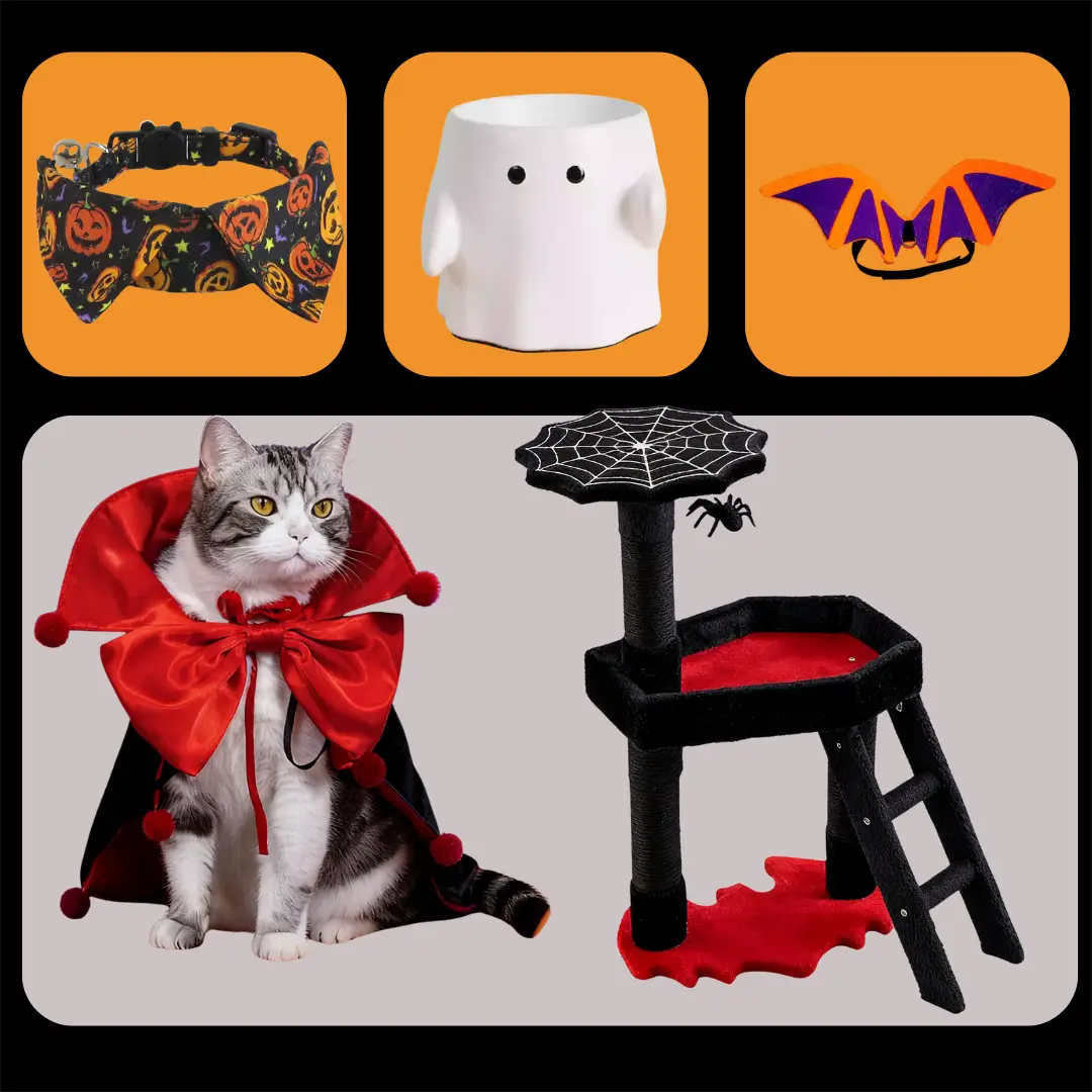 Deluxe Halloween Pet Celebration Set