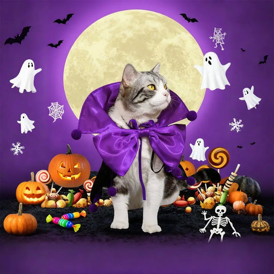 Halloween Knight Cape Cloak