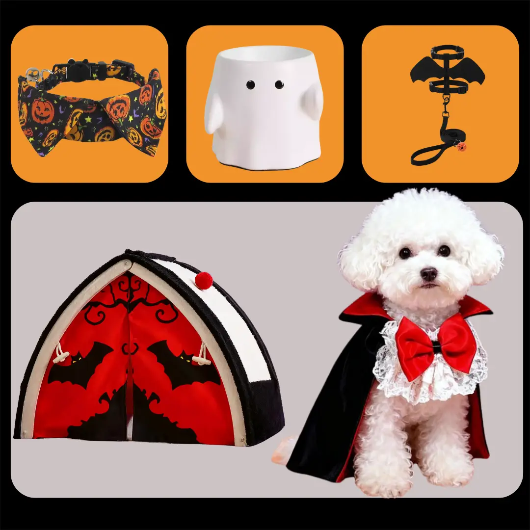 Deluxe Halloween Pet Celebration Set