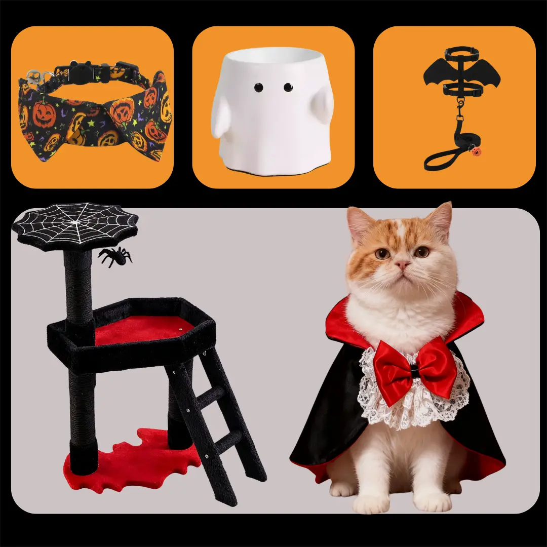 Deluxe Halloween Pet Celebration Set
