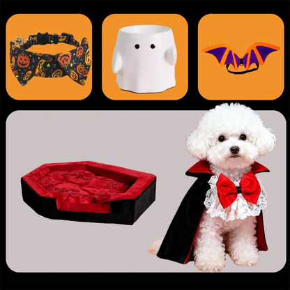 Deluxe Halloween Pet Celebration Set