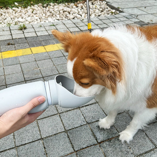 Travel Pet Bottle Bowls Portable Foldable Dog Water Bottle