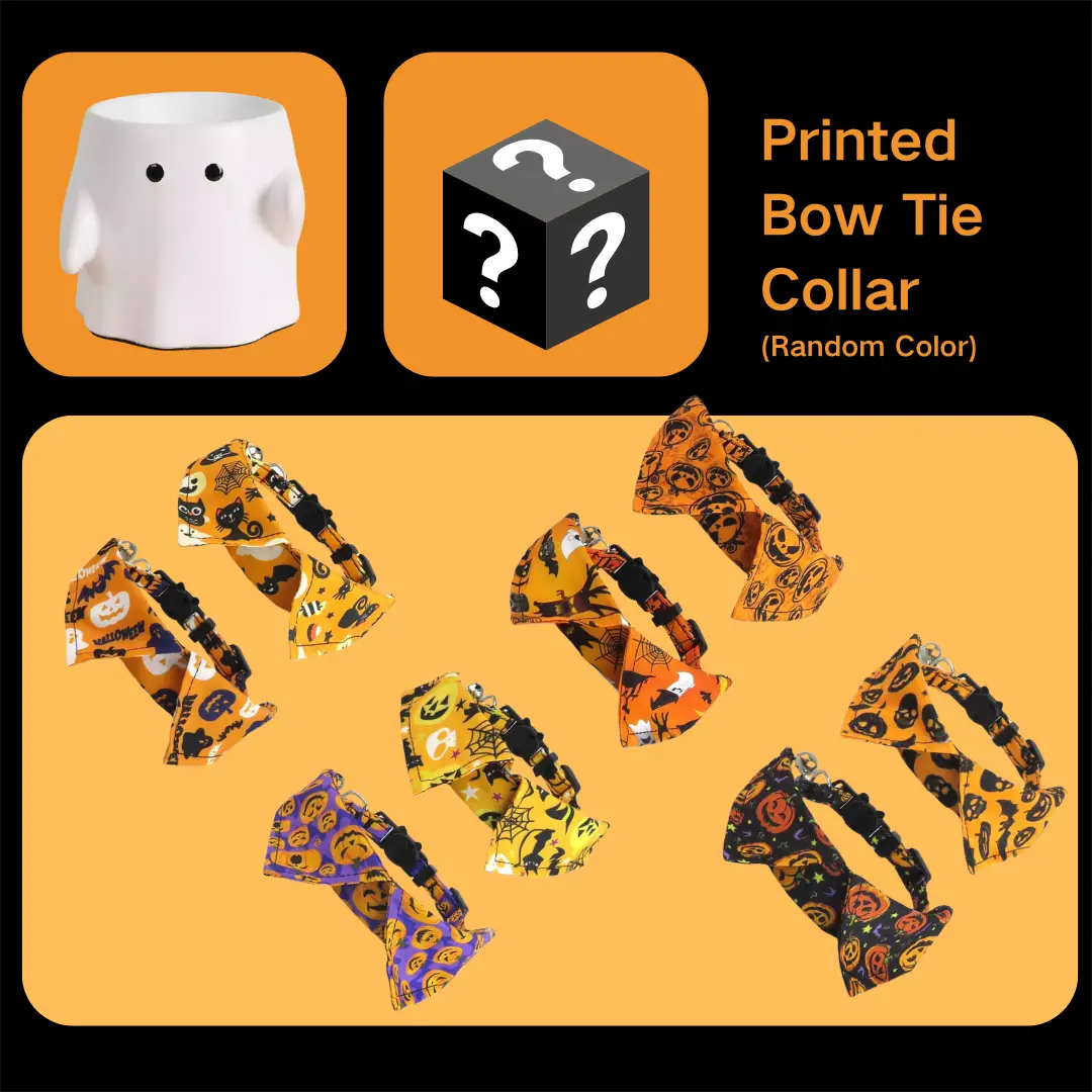 Deluxe Halloween Pet Celebration Set