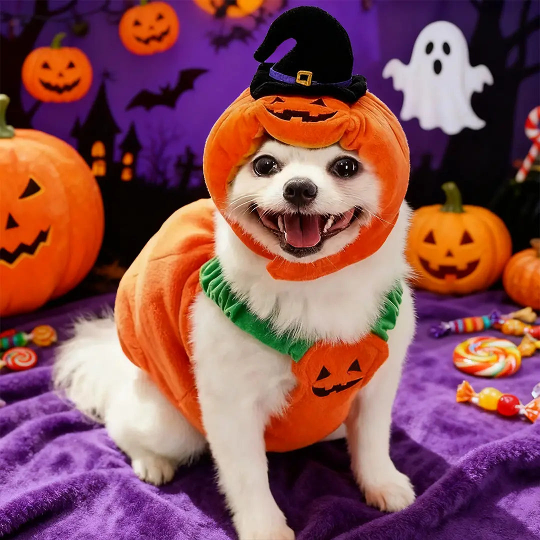 Halloween Pumpkin Hat for Pets