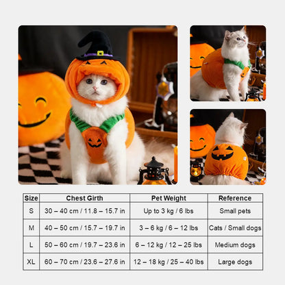 Halloween Pumpkin Hat for Pets