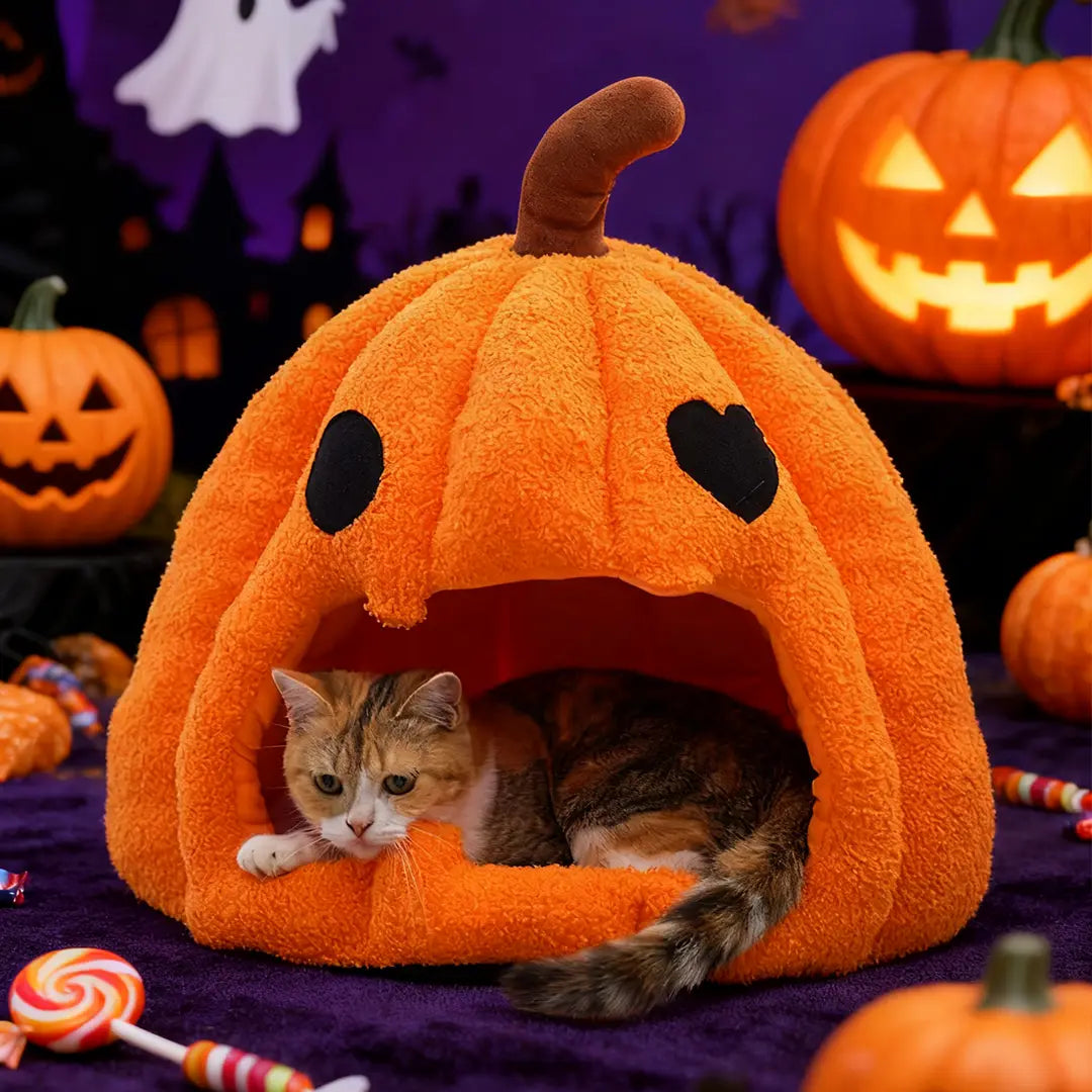 Halloween Pumpkin Pet Bed