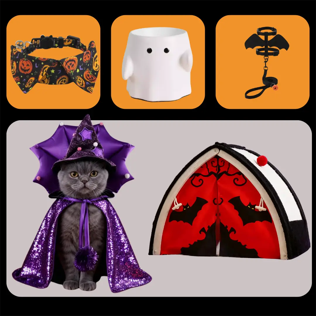 Deluxe Halloween Pet Celebration Set