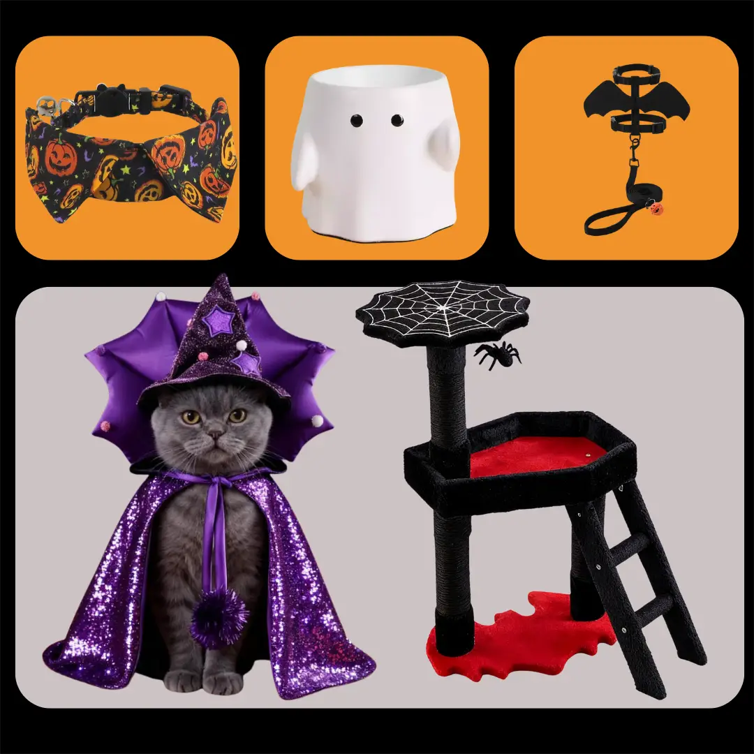 Deluxe Halloween Pet Celebration Set