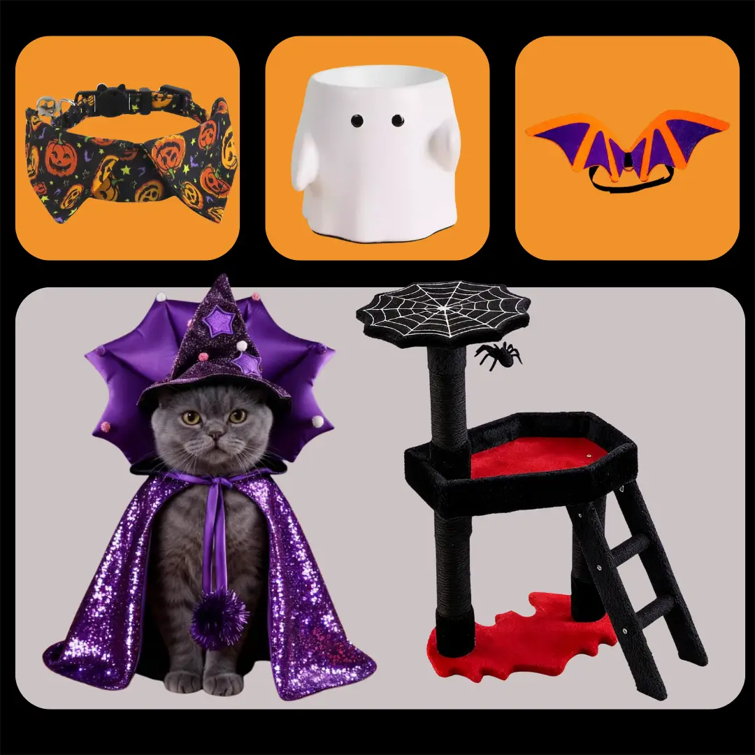 Deluxe Halloween Pet Celebration Set