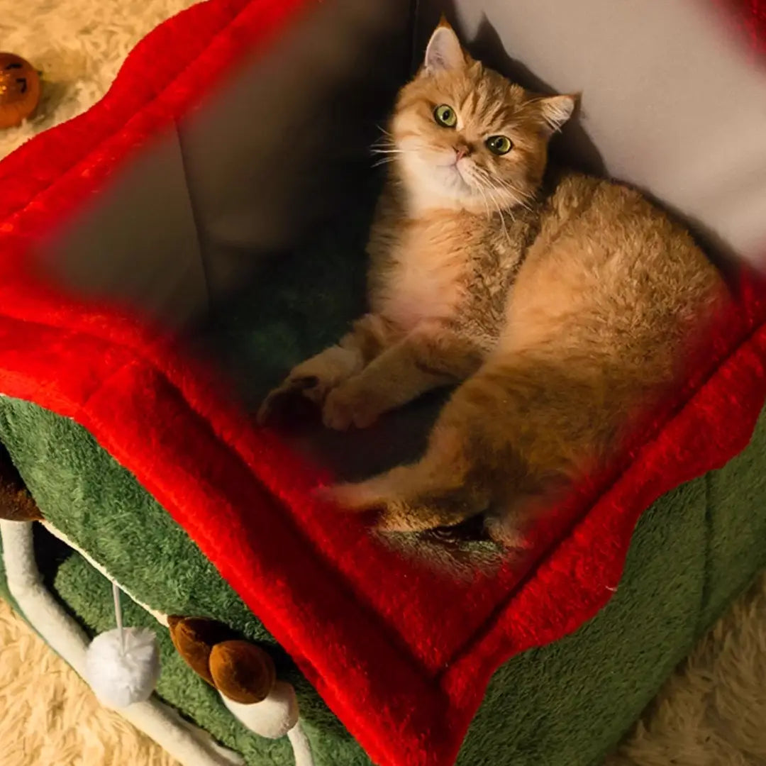 Pawsmas Reindeer Cat House