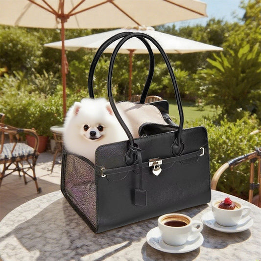 Stylish Leather Pet Carrier Bag