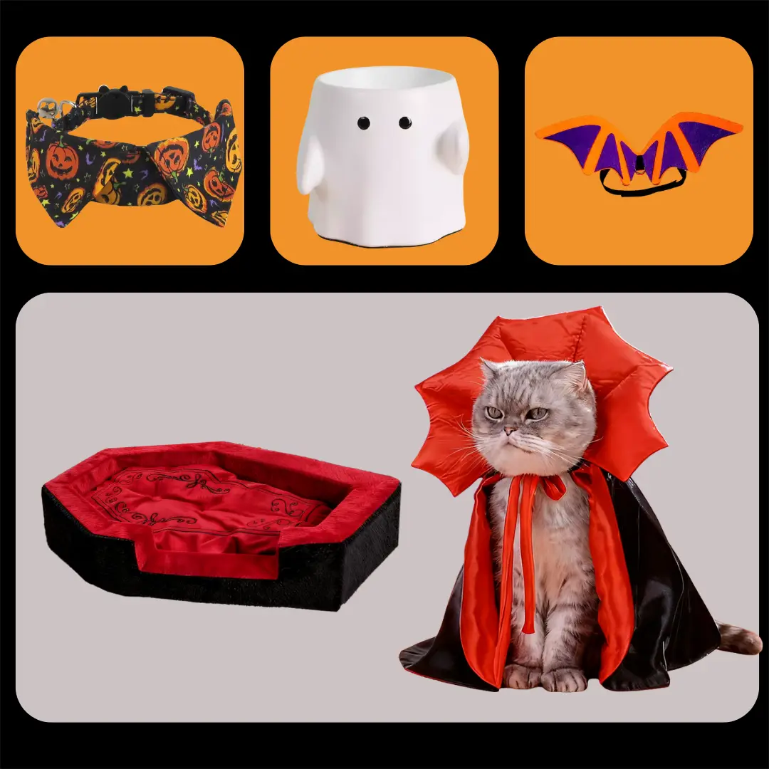Deluxe Halloween Pet Celebration Set