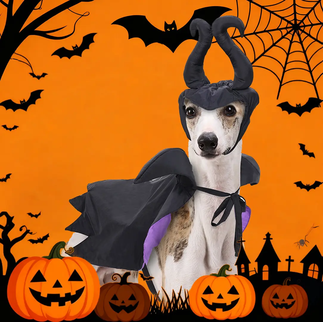 Halloween Witch Horn Headpiece & Cloak Set for Pets