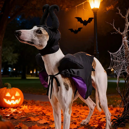 Halloween Witch Horn Headpiece & Cloak Set for Pets