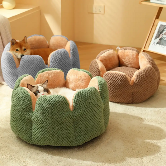 Nature Forme – Cactus Petal Pet Bed
