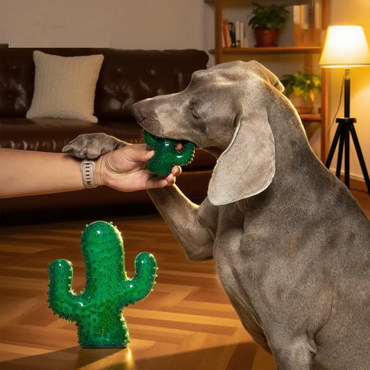 Nature Forme-Cactus Dog Chew Toy