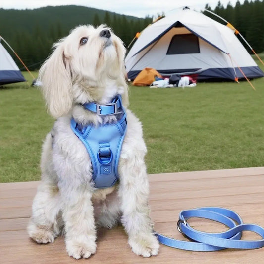 Waterproof PVC 4 - Piece Pet Harness for All Dogs