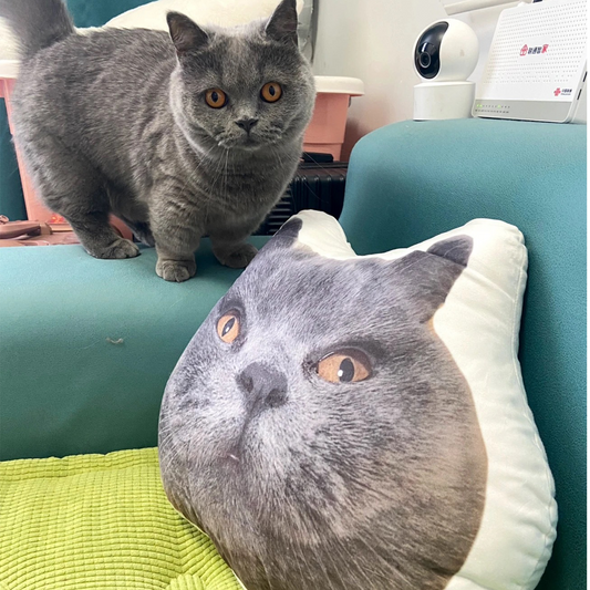 Exclusive customized pet shaped pillow