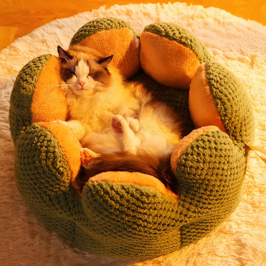 Nature Forme – Cactus Petal Pet Bed